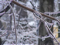 Ice Storm!