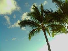 goodbyebeach